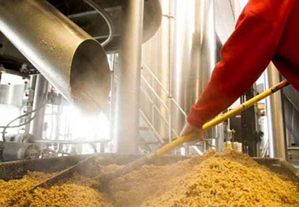 紅薯渣烘干機工作現場