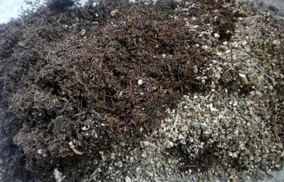 中藥渣含水率 中藥渣含水率