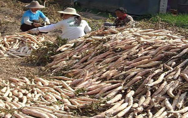 薯渣烘干機(jī)干燥過程分為四個干燥階段